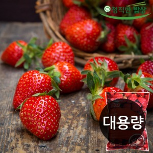 [빅세일_대용량] 시아스 냉동 국내산 딸기 1kg x 5개